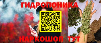 стафф Жуковский