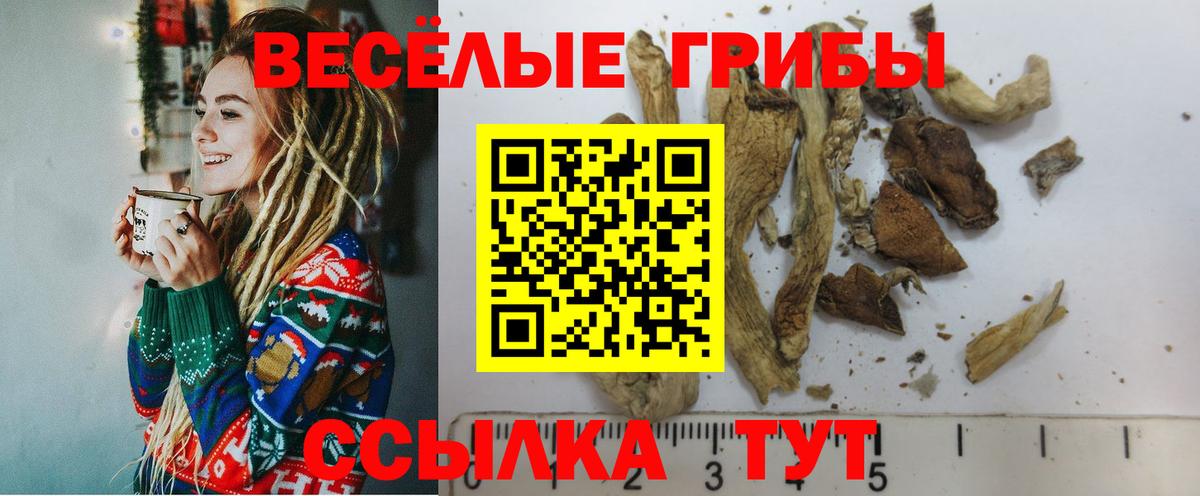 Надым  Псилоцибиновые грибы Cubensis  Вход с VPN 