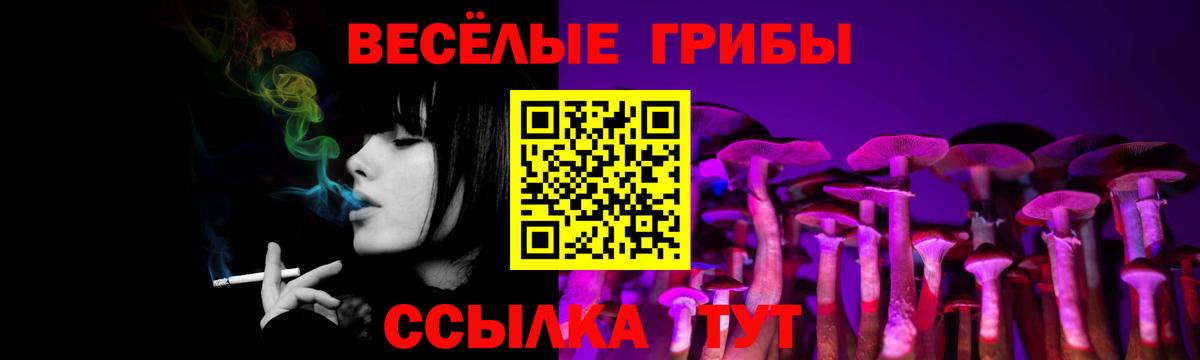 Псилоцибиновые грибы MAGIC MUSHROOMS Надым